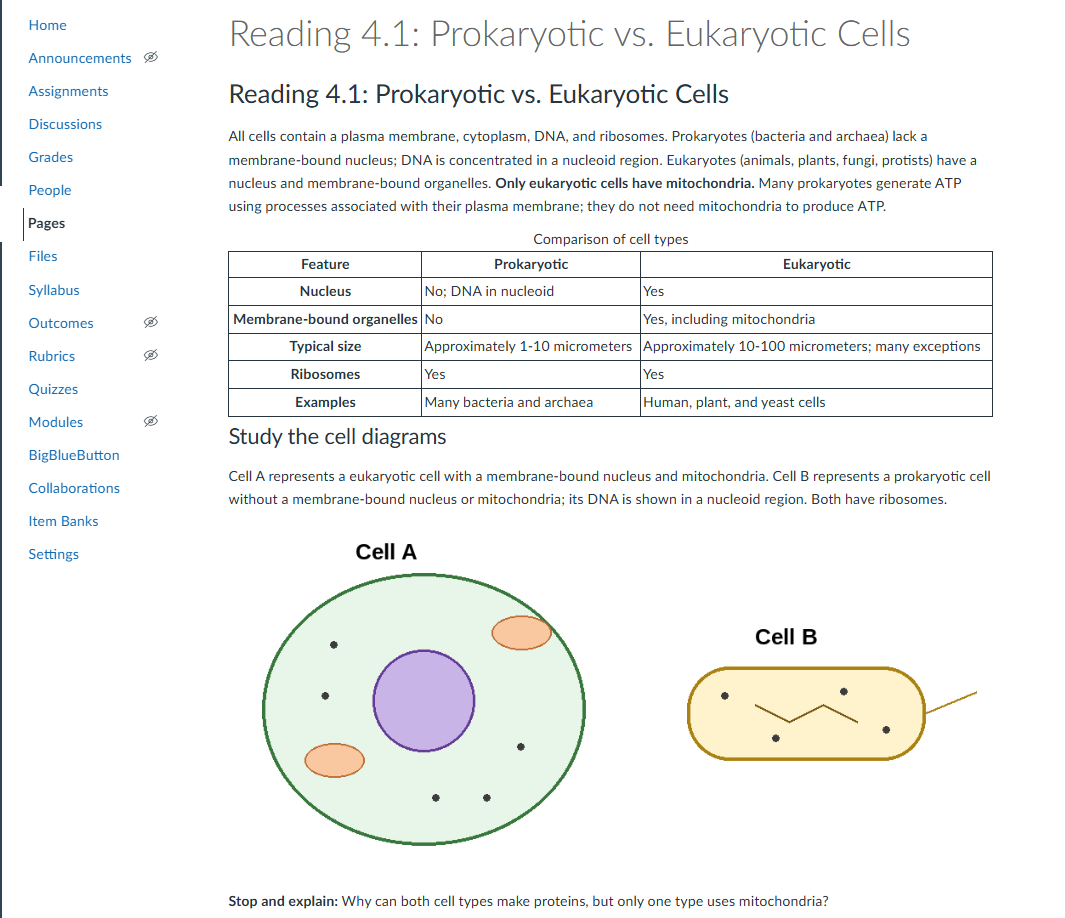 Revised Reading 4.1: Prokaryotic vs. Eukaryotic Cells. The opening paragraph now states that only eukaryotic cells have mitochondria and that many prokaryotes generate ATP at the plasma membrane. A five-row table titled 'Comparison of cell types' covers nucleus, membrane-bound organelles, typical size, ribosomes, and examples. Under 'Study the cell diagrams', a caption explains Cell A as a eukaryotic cell with a membrane-bound nucleus and mitochondria and Cell B as a prokaryotic cell with DNA in a nucleoid region, both with ribosomes, and a 'Stop and explain' question asks why both cell types can make proteins but only one uses mitochondria.