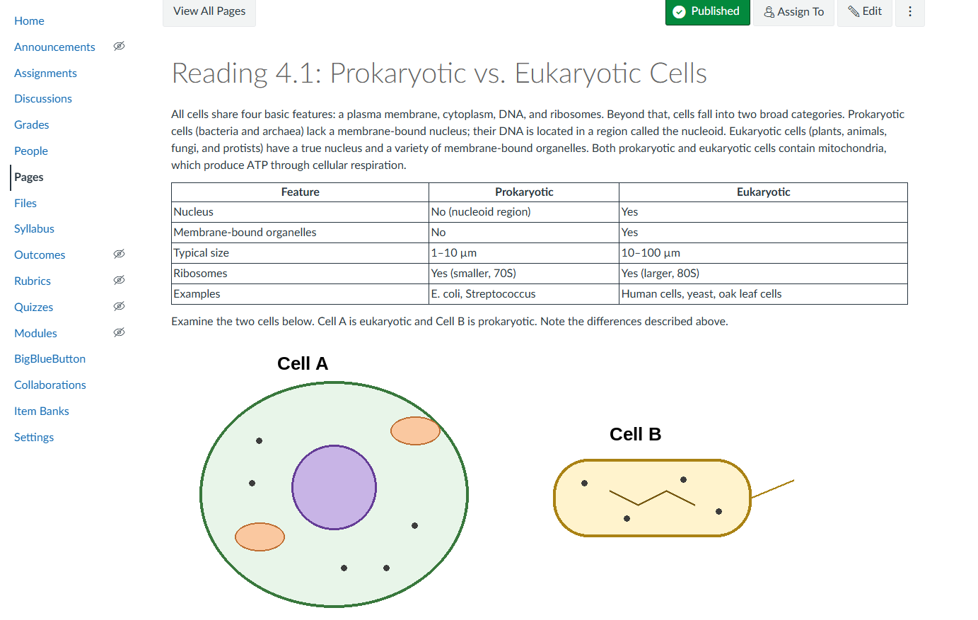 Reading 4.1: Prokaryotic vs. Eukaryotic Cells. A paragraph introduces the two cell types and incorrectly states that both contain mitochondria. A comparison table covers nucleus, membrane-bound organelles, typical size, ribosomes, and examples. Below are two unlabeled diagrams: Cell A, a large round cell with a purple nucleus and two oval organelles, and Cell B, a small rod-shaped cell with no nucleus and a tail.